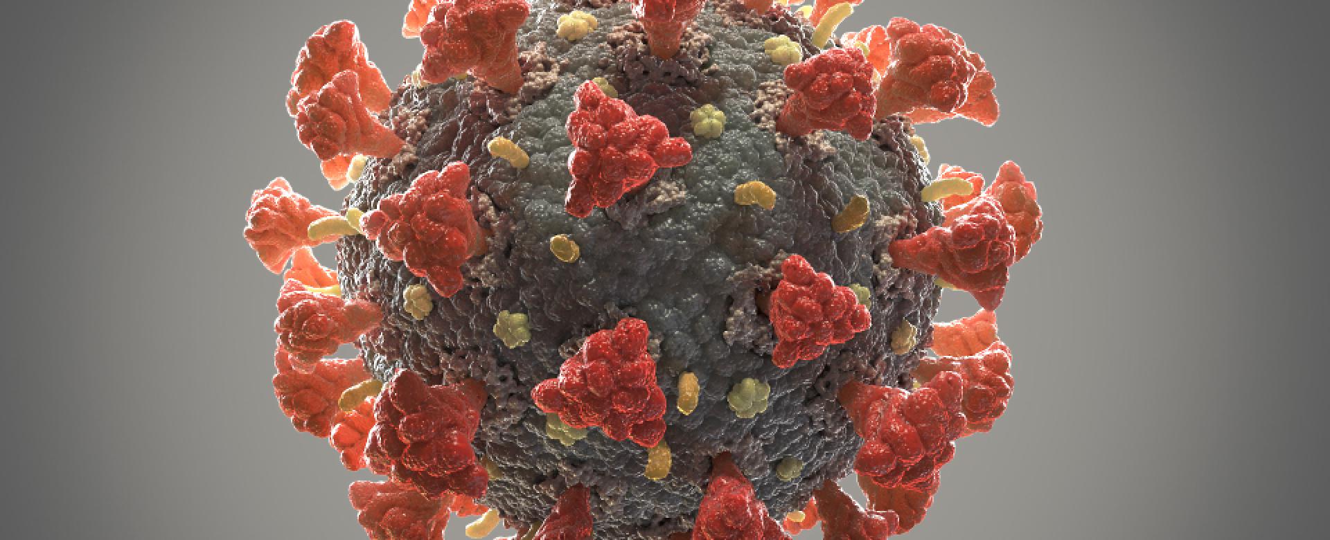 Covid 19 Coronavirus Financial Aid