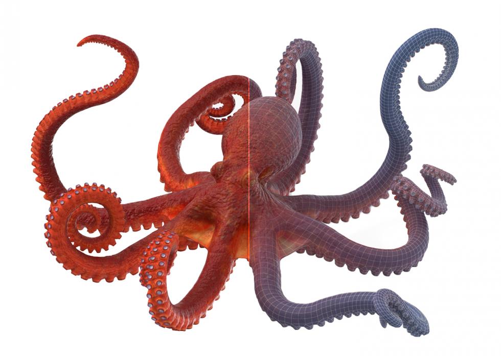 3D Octopus with Wireframe